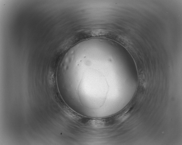 X0000072940327200608041248