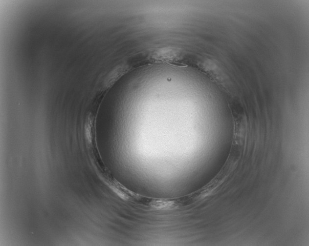 X0000072940334200608041248