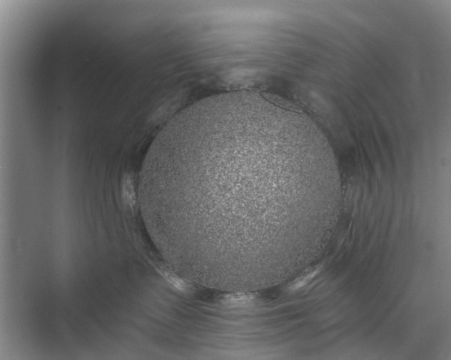 X0000072940335200608041248