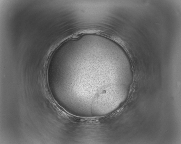 X0000072940337200608041247