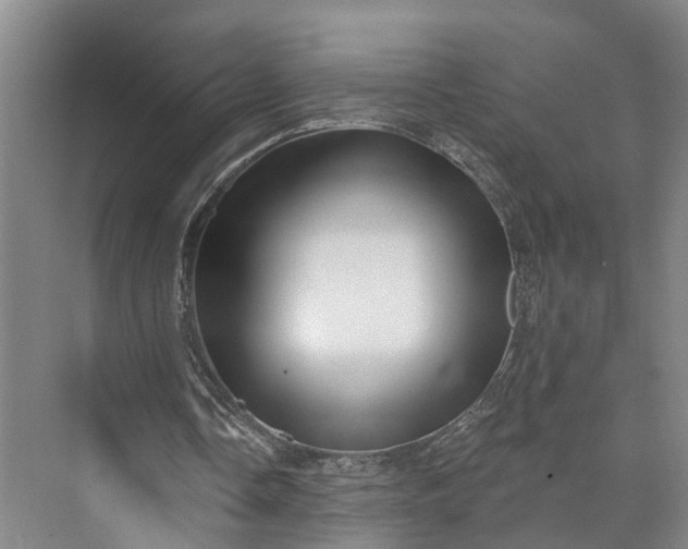 X0000072940338200608041247