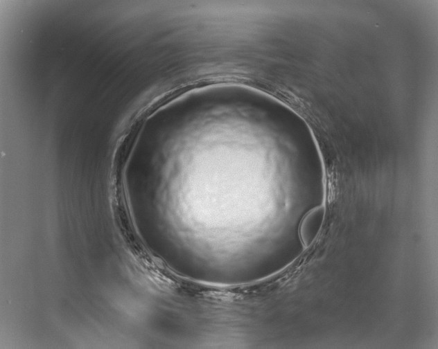 X0000072940339200608041247