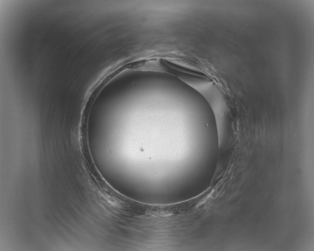 X0000072940340200608041247