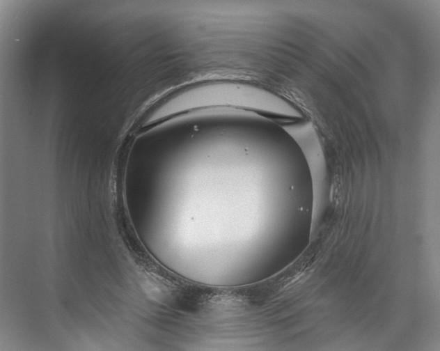 X0000072940348200608041247