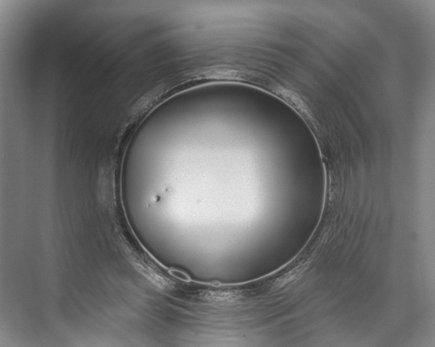 X0000072940349200608041247