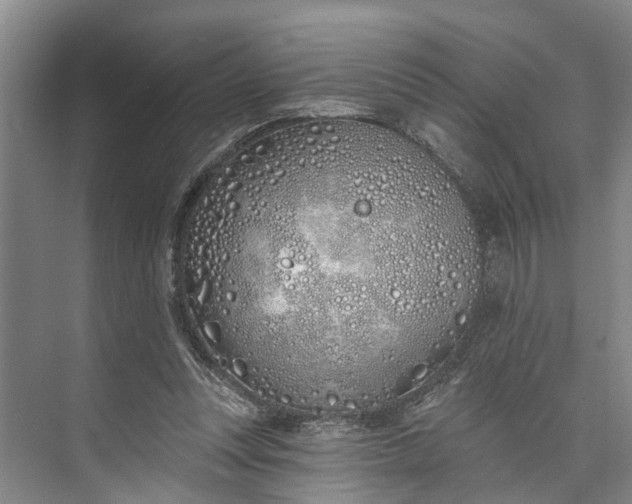 X0000072940351200608041248