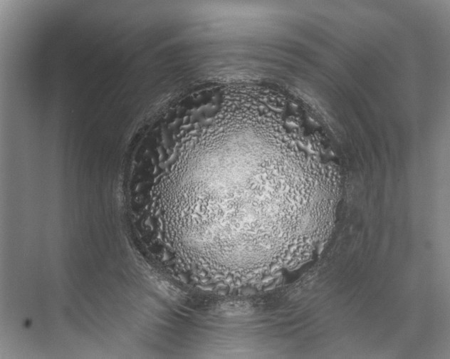 X0000072940353200608041248