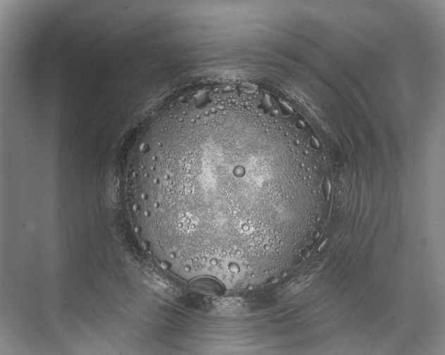 X0000072940355200608041248