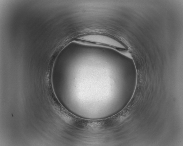 X0000072940357200608041248