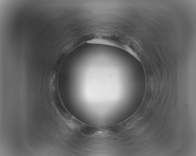 X0000072940364200608041248