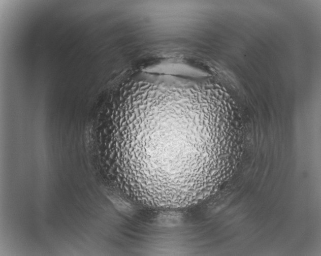 X0000072940369200608041248