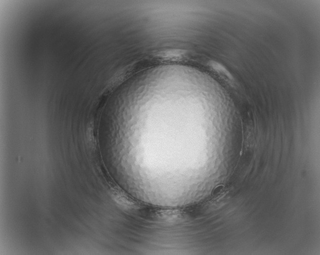 X0000072940377200608041248