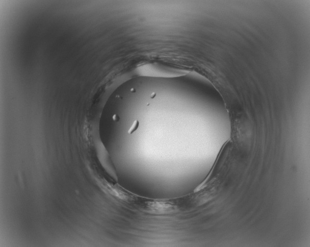 X0000072940380200608041248