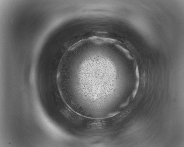 X0000072940383200608041248