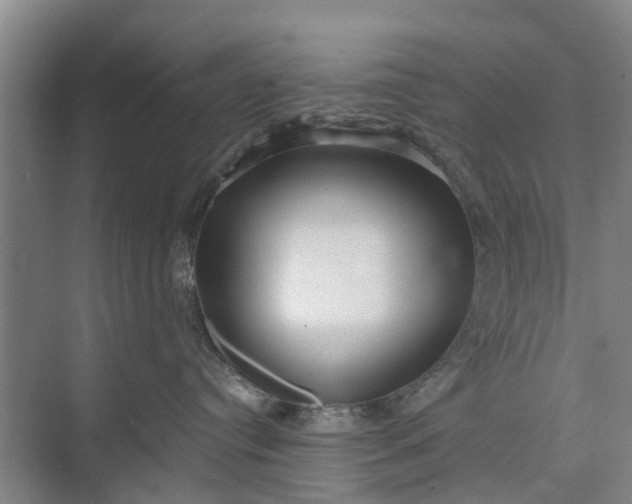 X0000072940384200608041248