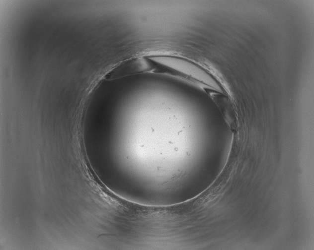 X0000072940385200608041247