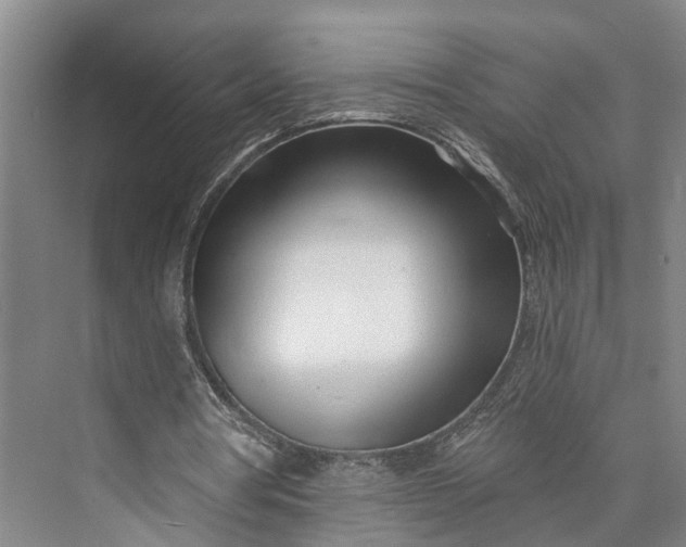 X0000072940386200608041247