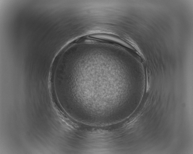 X0000072940387200608041247