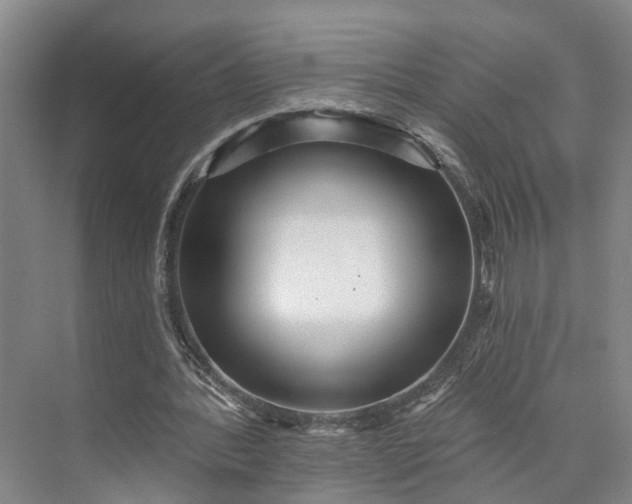 X0000072940388200608041247