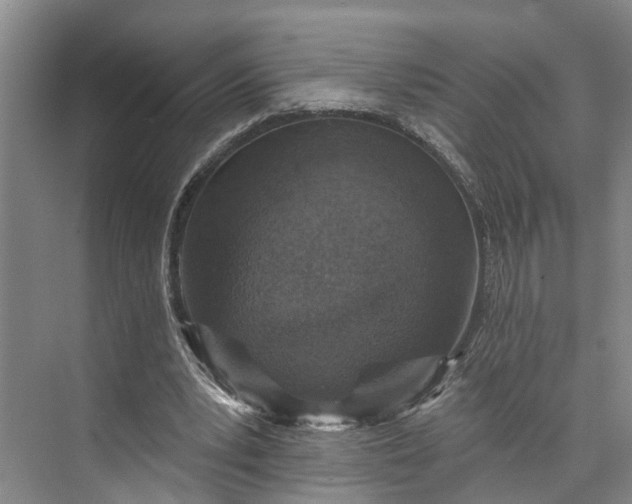 X0000072940391200608041247