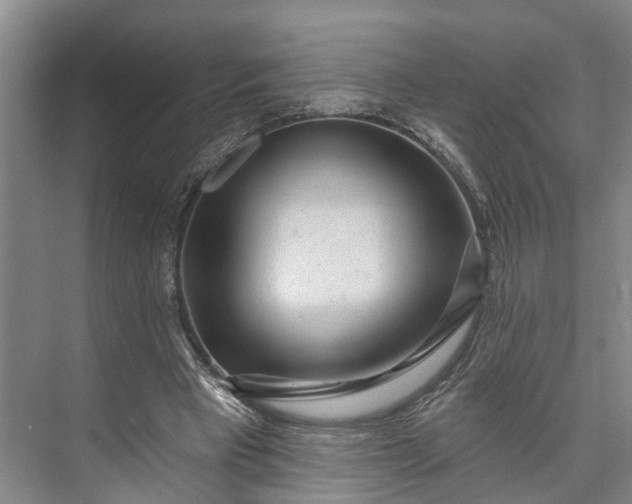 X0000072940393200608041247