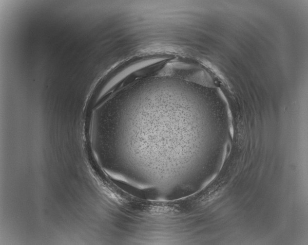 X0000072940399200608041247