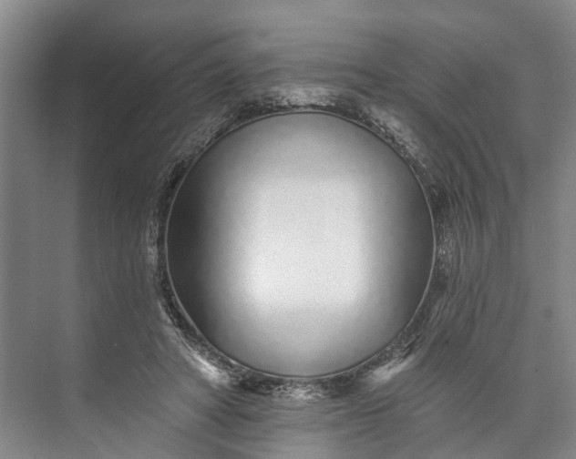 X0000072940402200608041247