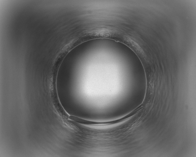 X0000072940403200608041247