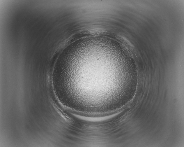 X0000072940405200608041247