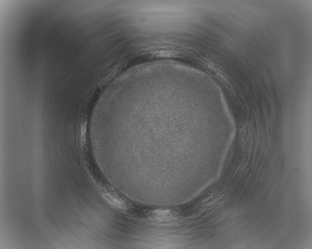 X0000072940406200608041247