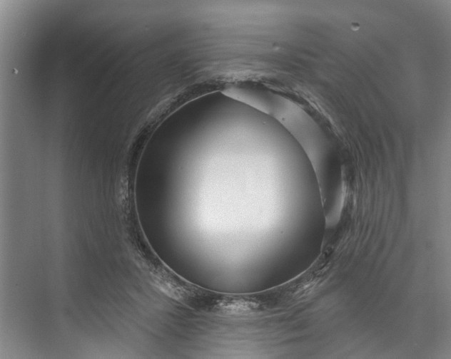 X0000072940407200608041247