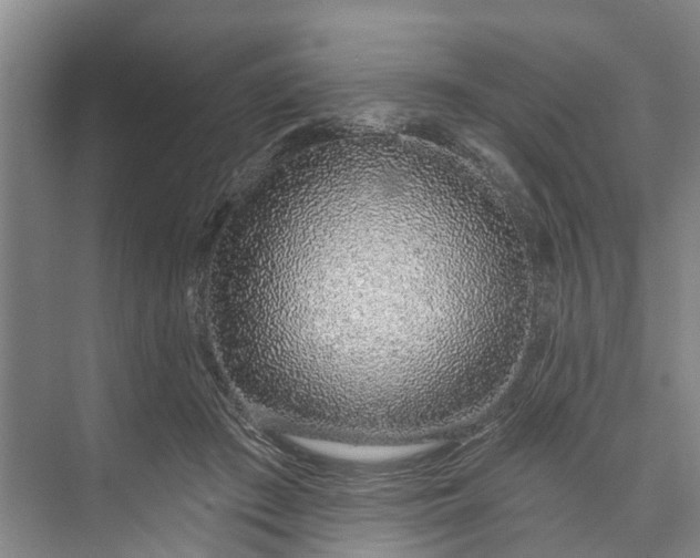 X0000072940409200608041247