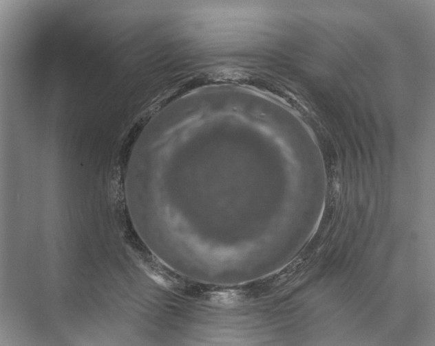 X0000072940411200608041247