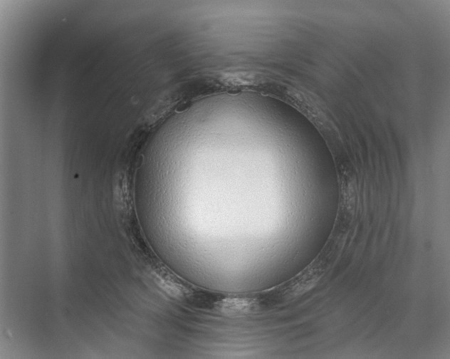 X0000072940418200608041247