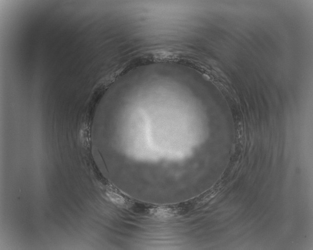 X0000072940419200608041247