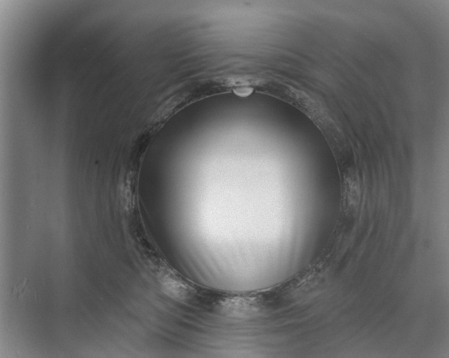 X0000072940422200608041247