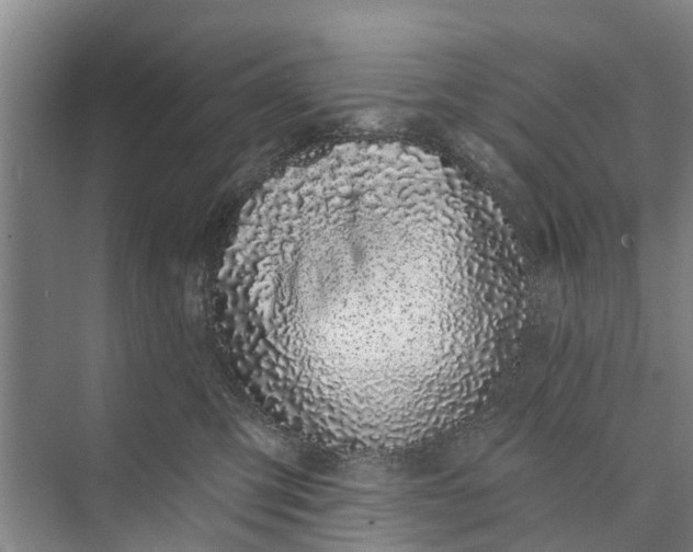 X0000072940423200608041247