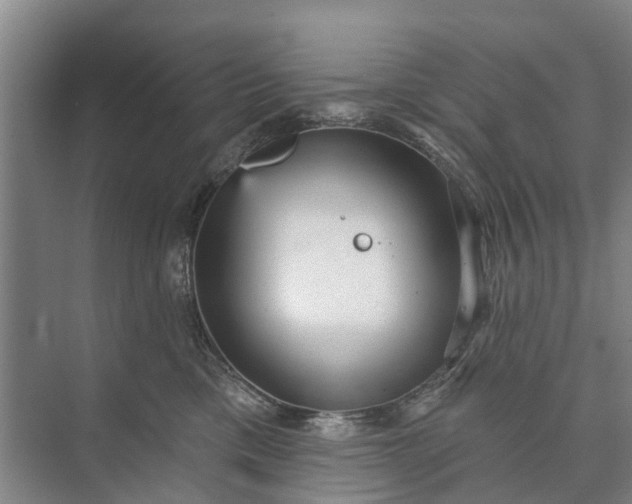 X0000072940425200608041247