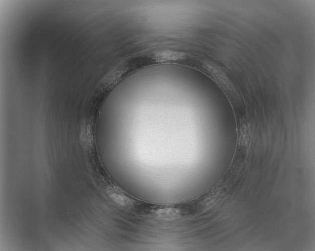 X0000072940426200608041247