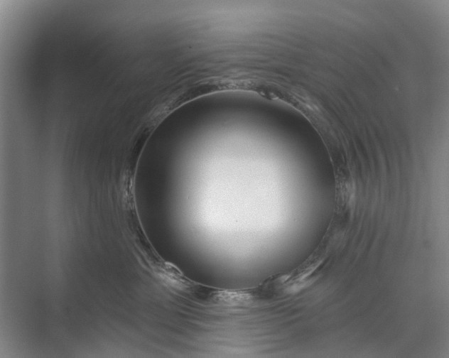 X0000072940429200608041247