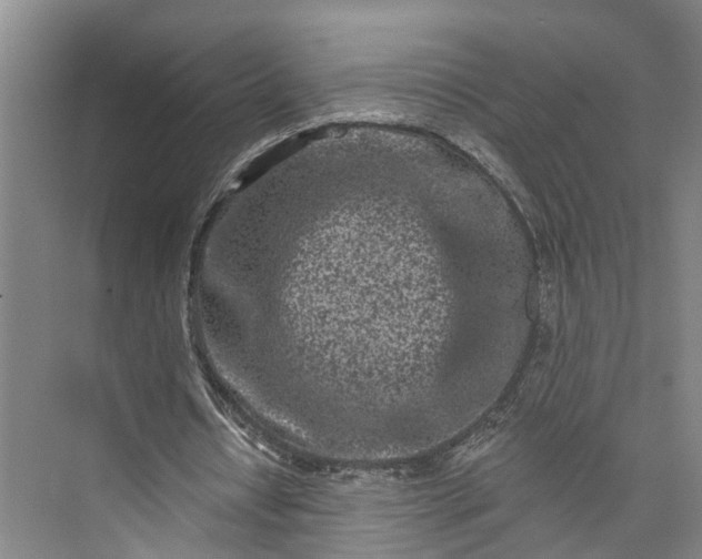 X0000072940434200608041246