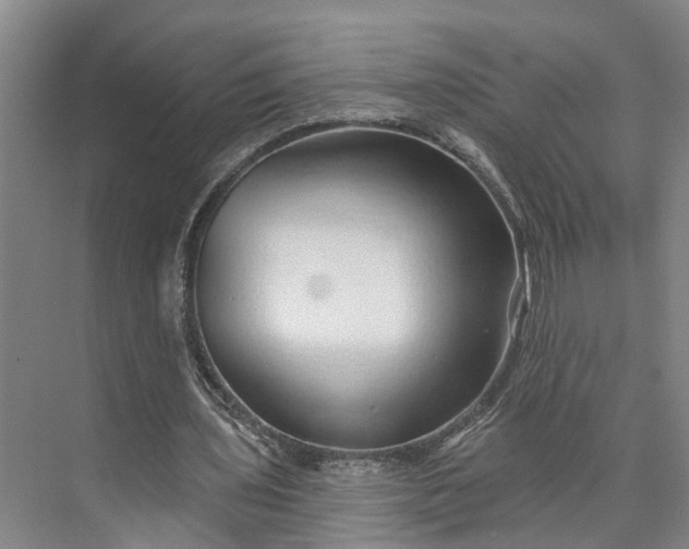 X0000072940435200608041246