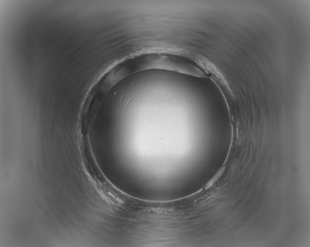 X0000072940436200608041246