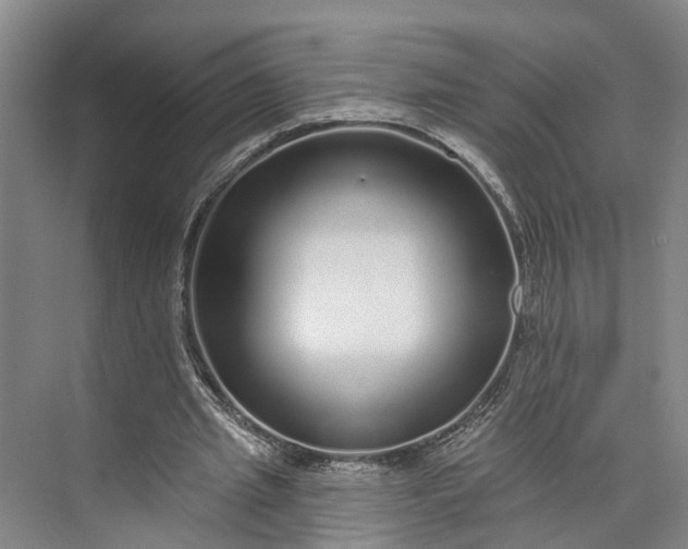 X0000072940437200608041246