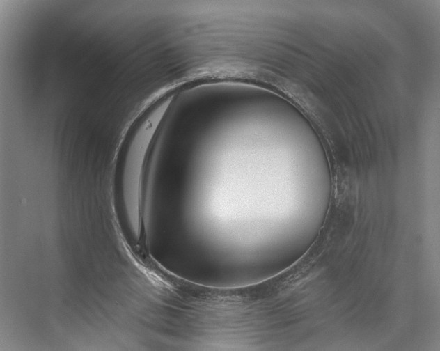 X0000072940438200608041246