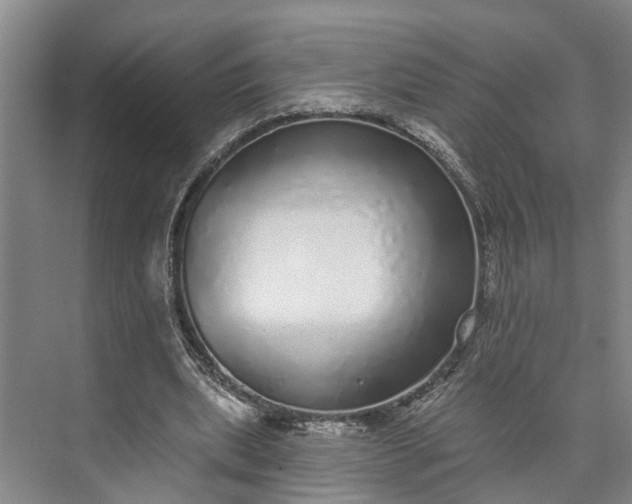 X0000072940439200608041246