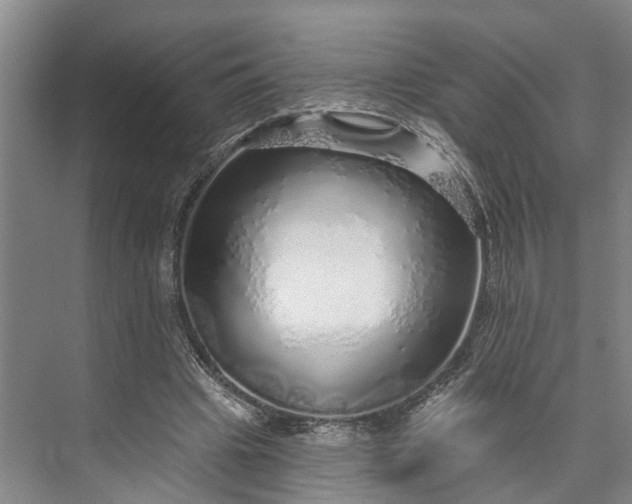 X0000072940441200608041246