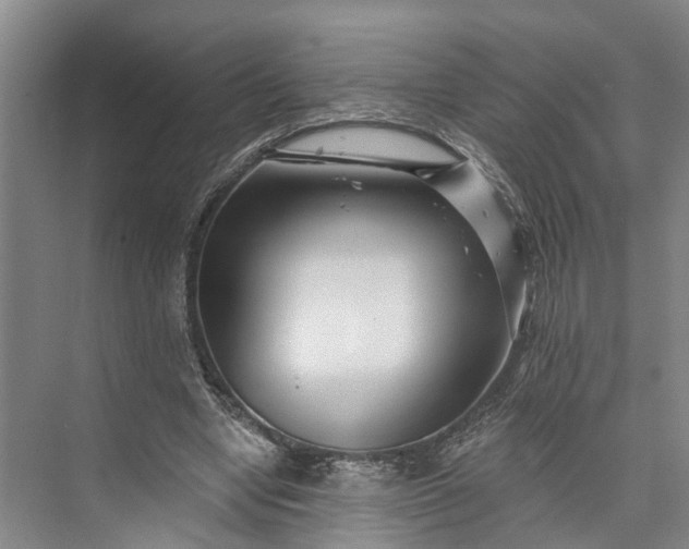 X0000072940442200608041246