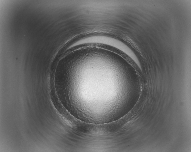 X0000072940444200608041246