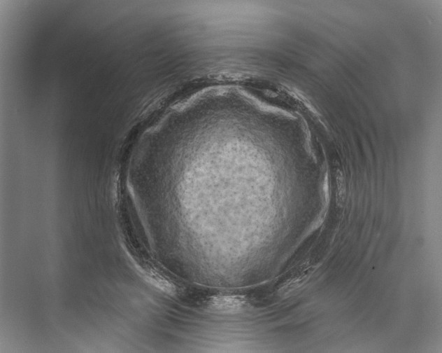 X0000072940451200608041246